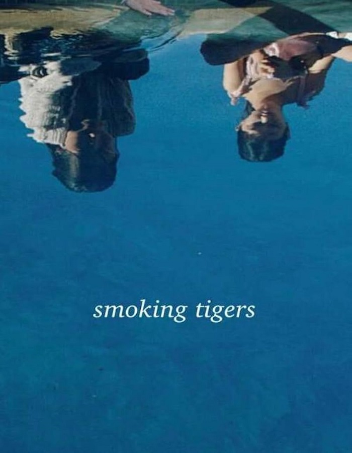 Smoking Tigers (4K)